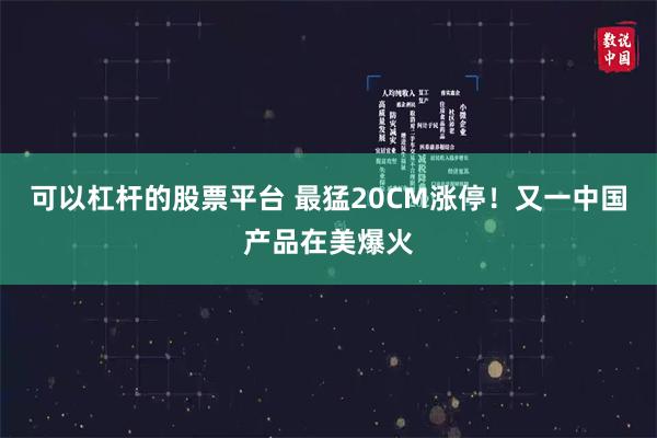 可以杠杆的股票平台 最猛20CM涨停！又一中国产品在美爆火