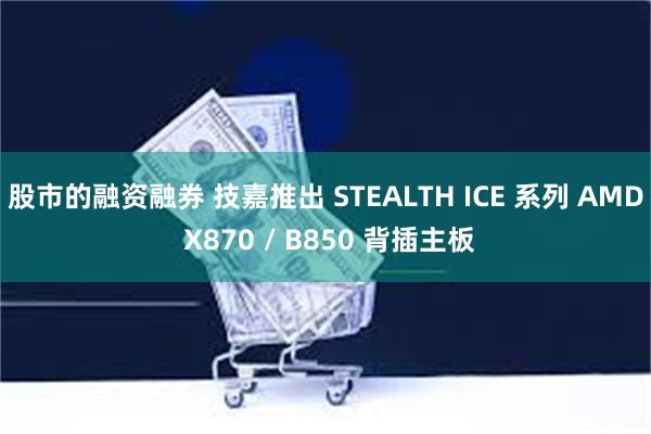 股市的融资融券 技嘉推出 STEALTH ICE 系列 AMD X870 / B850 背插主板