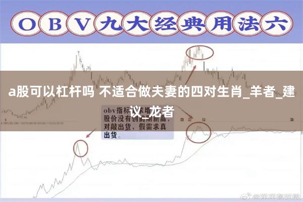 a股可以杠杆吗 不适合做夫妻的四对生肖_羊者_建议_龙者