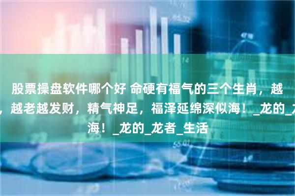 股票操盘软件哪个好 命硬有福气的三个生肖，越老越有福，越老越发财，精气神足，福泽延绵深似海！_龙的_龙者_生活