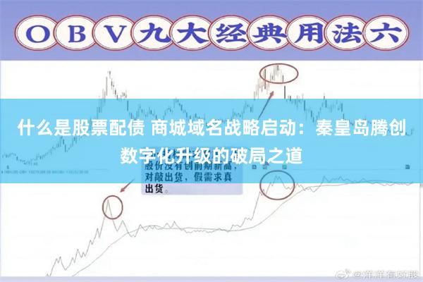 什么是股票配债 商城域名战略启动：秦皇岛腾创数字化升级的破局之道
