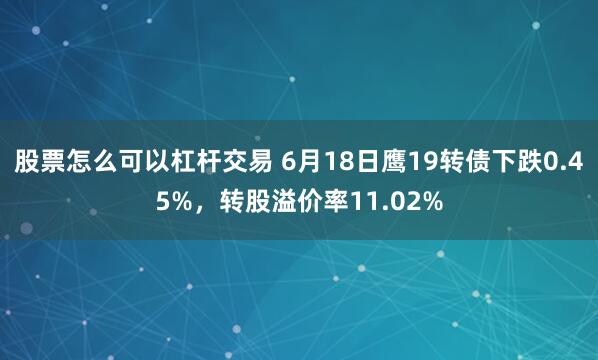 股票怎么可以杠杆交易 6月18日鹰19转债下跌0.45%，转股溢价率11.02%