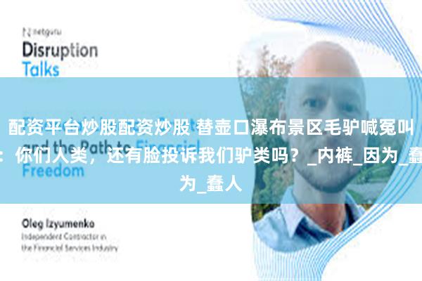 配资平台炒股配资炒股 替壶口瀑布景区毛驴喊冤叫屈：你们人类，还有脸投诉我们驴类吗？_内裤_因为_蠢人