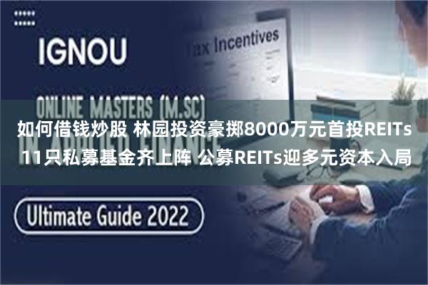 如何借钱炒股 林园投资豪掷8000万元首投REITs 11只私募基金齐上阵 公募REITs迎多元资本入局