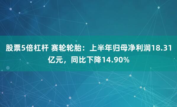 股票5倍杠杆 赛轮轮胎：上半年归母净利润18.31亿元，同比下降14.90%