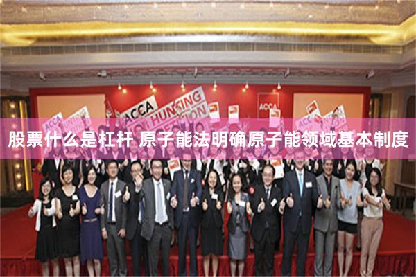 股票什么是杠杆 原子能法明确原子能领域基本制度
