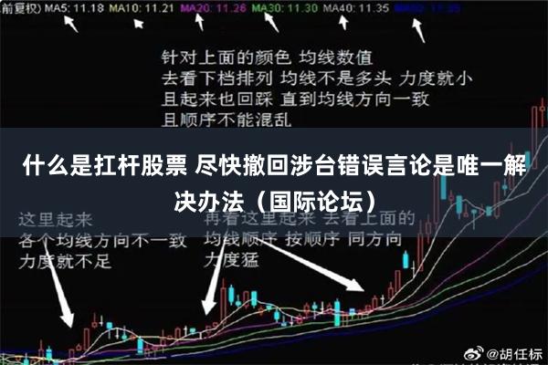 什么是扛杆股票 尽快撤回涉台错误言论是唯一解决办法（国际论坛）